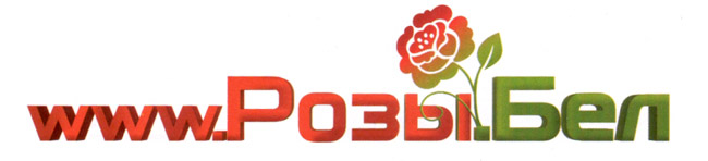 Цветочный магазин «Розыбел» — доставка цветов по Минску